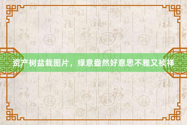 资产树盆栽图片，绿意盎然好意思不雅又祯祥